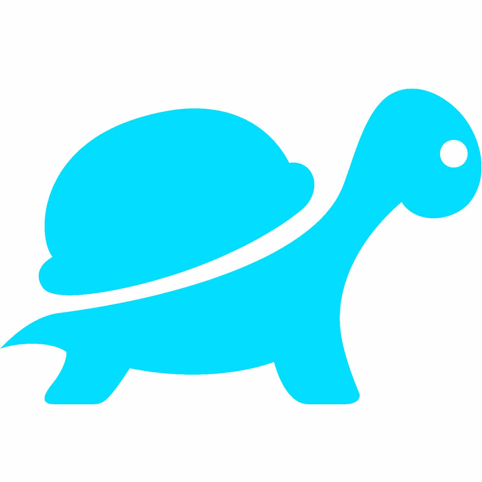 Turtle Icon